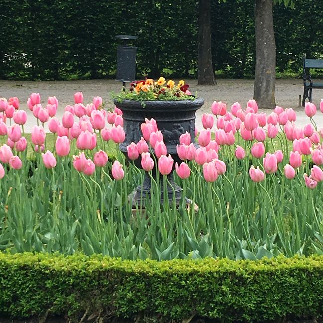 Schonbrunn Palace Gardens Vienna