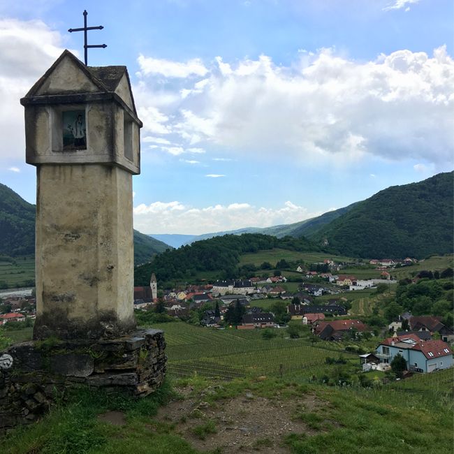 Spitz Austria vineyards